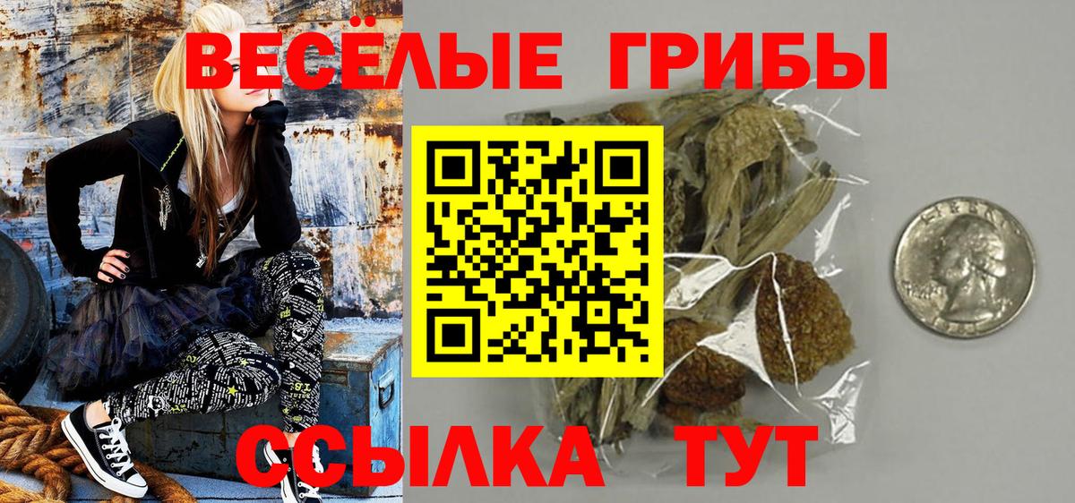 Псилоцибиновые грибы GOLDEN TEACHER Костомукша